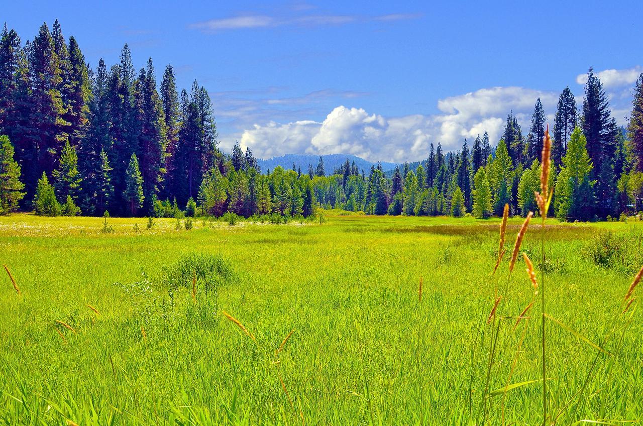 Leavenworth Camping Resort Tiny House Rudolf Dış mekan fotoğraf